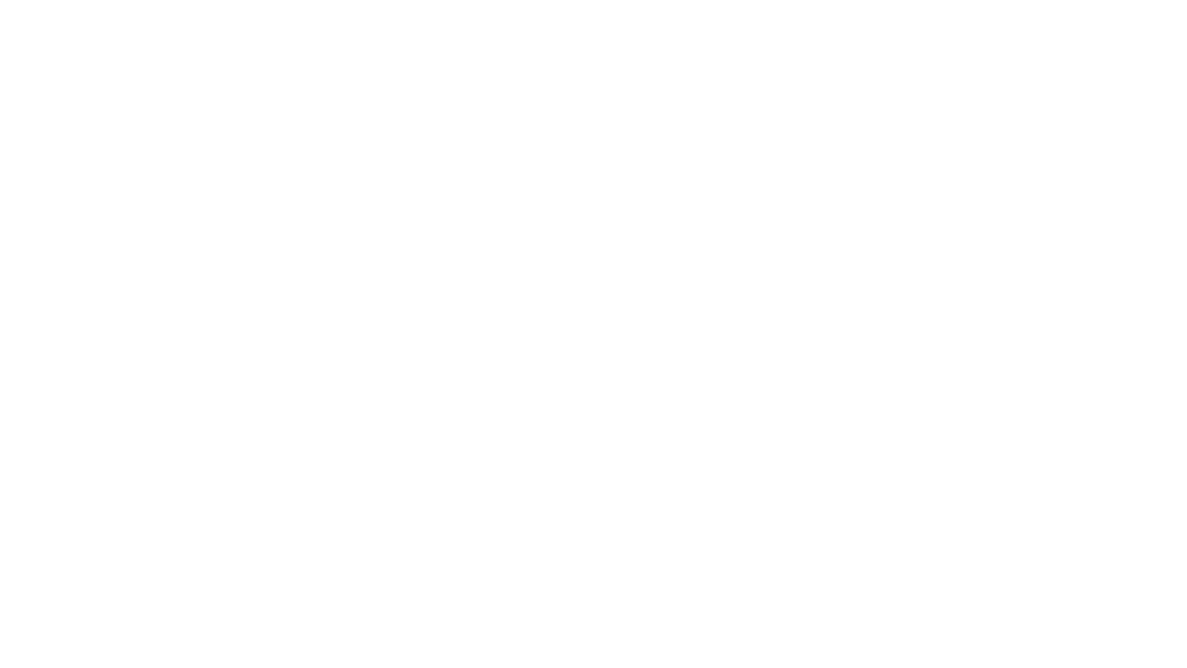 logo-bn